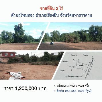 ขายที่ดิน 2 ไร่ ตําบลโพนทอง อําเภอเชียงยืน จังหวัดมหาสารคาม มีไฟฟ้า น้ำประปา